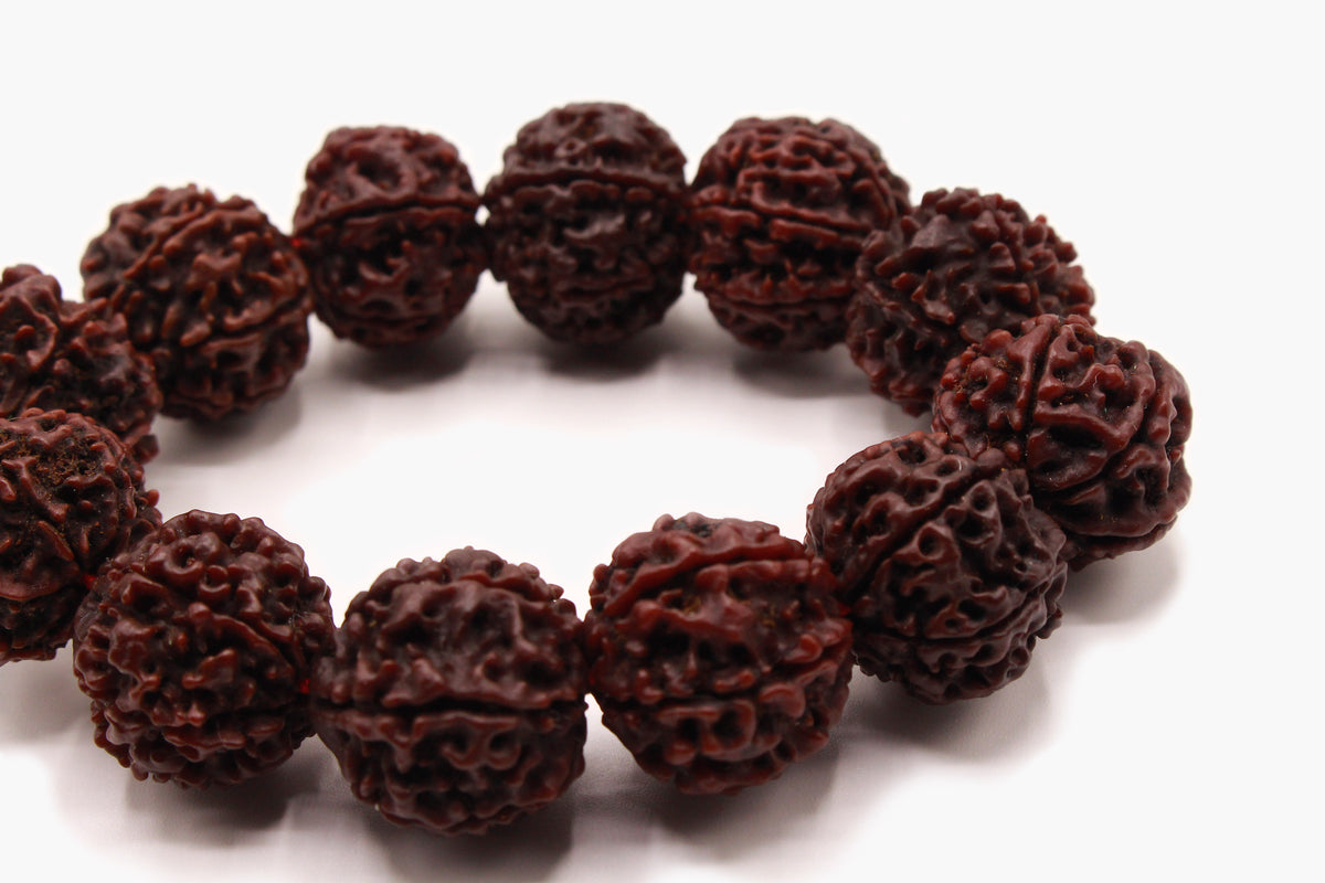 Close-up of large textured 16 mm Rudraksha seed beads.