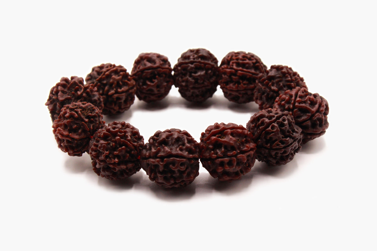 Rudraksha 16 mm seed bracelet with large textured reddish-brown beads, front view.